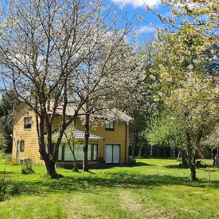 Casa Selva Villa Valdivia Exterior photo