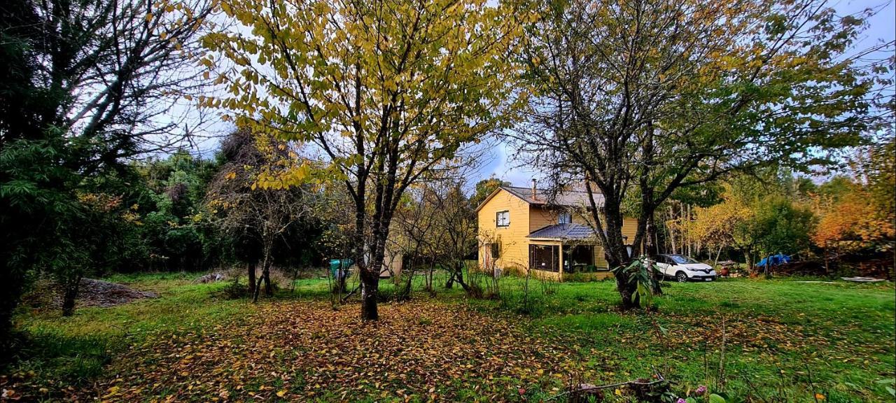 Casa Selva Valdivia