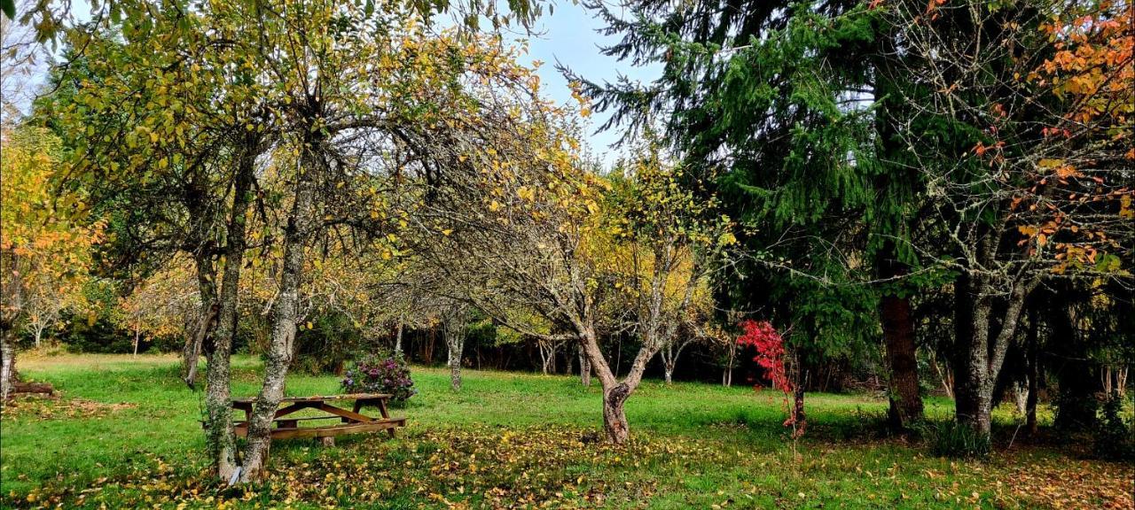Holiday home Casa Selva *